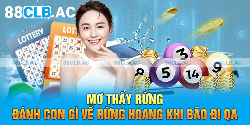 Mơ thấy rừng đánh con gì về rừng hoang khi bão đi qua